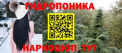 шишки Гусь-Хрустальный