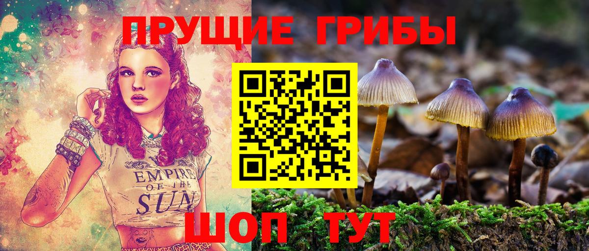 Псилоцибиновые грибы Magic Shrooms  Вход с VPN  Нальчик  Галлюциногенные грибы Cubensis 
