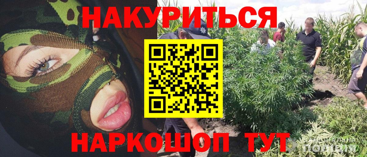 МАРИХУАНА Bruce Banner Нальчик